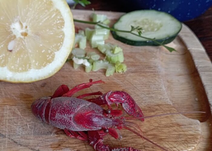 fresh-crayfish